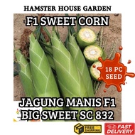 HSK [18pc/45pc] JAGUNG MANIS F1 HIBRID SWEET CORN BIG SWEET SC 832 SEED | BIJI BENIH JAGUNG