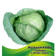 Biji Benih sayur Kobis / Cabbage vegetable seeds (Kubis)