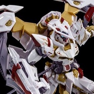 現貨 全新  魂限 RG 金迷惘高達 天哈娜 GOLD FRAME gundam ASTRAY 高達模型