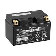 YUASA YTZ10S Motorcycle Battery