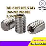 Set Screw Grub Screw/Grub Screw DIN916/Stainless Steel 304 Hex Socket Set Screw M1.6/M2/M2.5/M3/M4/M