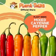 Plant Talks Authentic Mixed Cayenne Pepper Seeds Super Hot Chilli Gardening Seed