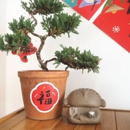 添福大院2026馬年貼紙非可移春節裝飾手賬咖啡機行李箱貼紙封口