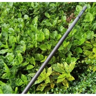 Industrial  Original Raw Carbon fiber technology golf shaft wood shaft 0.335 size 46inch 55+/-3 gms