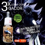 doping penggacor burung kacer vitamin kacer gacor kacer ngeplay kacer on play doping kacer konslet
