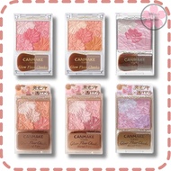 CANMAKE Glow Fleur Cheeks Blush 5 Colors & Eye Makeup In A Case