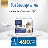 อาหารเสริมแมว 7in1 cat booster &amp; lisa cat collagen