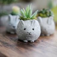 水泥兔子盆栽 DIY材料包 教學影片 泥塑盆栽 體驗 交換禮物 兔年