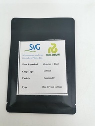 SCAMANDR LETTUCE SEEDS BY RIJK ZWAAN 50 SEEDS