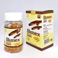 ORIGINAL OLIMEX kapsul minyak albumin minyak ikan gabus ASLI