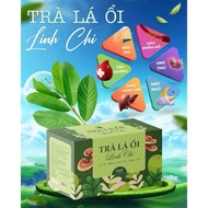 Ganoderma guava leaf tea - Lose weight, sleep well, beautify skin, improve digestion