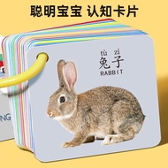 (Wholesale and Retail) Flash Cards/Chinese - English Learning Cards According to Diverse Themes