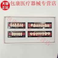 Dental Plastic Steel Teeth Full Mouth Dentures Plastic Steel Teeth Synthetic Resin Teeth Plastic Ste