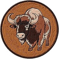 Buffalo Patch Embroidered Iron on Patches for Clothes Backpacks Bags Jeans Jackets Size 3" ID45095
