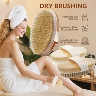 [🇸🇬SG] Shower Body Cleaning Brush Wet And Dry Body Brush Exfoliator With Soft Bristles Body Scrub Br