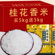 2023 New Rice Northeast Rice 5.00kg Osmanthus Fragrant Rice 5kg Raw Grain Rice Flower Fragrance No.