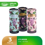 Sanicare Facial Tissue Cylinder (Pack Of 3)