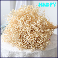 HNDFY Ramo ฟลอเรสเดอ Secas De Aliento De Bebé Para Madre,Regalo De Amigos,Ramas De Gypsophila Natura