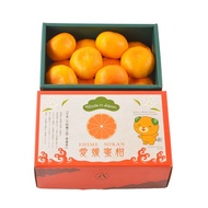 [Preorder] Festive Fruits - Ehime Mikan