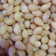 600 G 1000 GR GRAM 1KG 1 KG DRIED GINKO NUTS DRIED GINKGO NUT BAIGUOROU BAIGUO BAI GUO ROU