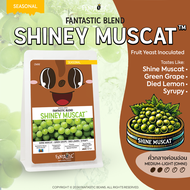 เมล็ดกาแฟ Shiney Muscat Blend™ (คั่วกลางอ่อน) FANTASTIC Beans Coffee