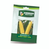 BRAVADO F1 (8 GRAMS) HYBRID SWEET CORN CONDOR QUALITY SEEDS