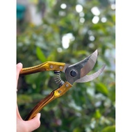 Thick pruning shears, garden pruning shears, flower pruning shears, fruit tree shears - HIGH QUALITY
