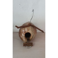 Bird's Nest Bird's House