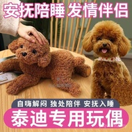 Accompany Dogs Essay Dolls Thai Sleeping Pet Toys Fire Toys Male Dogs Matching Larrhea Female Dogs D