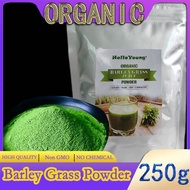 barley powder pure organic Organic Barley Grass Powder original 250g barley grass official store Good Source of Fiber, Protein. Great for Juices