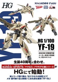 HG 1/100 超時空要塞 VF-19