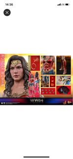 Hottoys Hot Toys mms584b WONDER WOMAN 1984 mms584