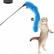 Mainan Kucing persia peaknose kampung tongkat Kerincing lonceng kucing
