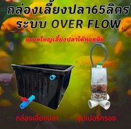อ่างเลี้ยงปลา 65 ลิตร overflow พร้อมระบบวาวล์เปิดปิดน้ำ กะบะเลี้ยงปลา อ่างเลี้ยงปลา อ่างเลี้ยงปลาเมก