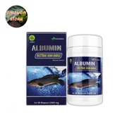 albumin ikan gabus