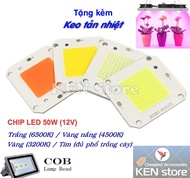 Chip led nhân led 50W điện 12V DC