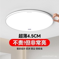 Brand Lighting Ceiling Light Corridor Aisle Kitchen Bathroom New Model Bedroom Light Zhongshan Light