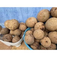 Buah Embawang Bambangan dari Sarawak 1KG