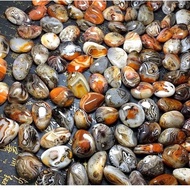 Natural Wrapping Silk Agate Rough Stone Ornaments Silk Agate Handle Piece Ore Teaching Specimen Play