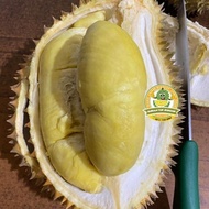 durian montong palu parigi utuhan/butiran