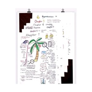🌈[IGCSE NOTES] Year 8 Science Notes (Biology)(soft copy)