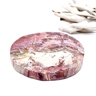 靜守。擺件 療癒 有天然礦坑 l 木化石 木化玉 樹化玉 l