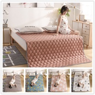 Mattress Students Dormitory Soft Mattress Foldable Tatami Single Double Bed Cotton Mattress