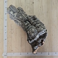 Cork Bark Tube 软木树皮筒