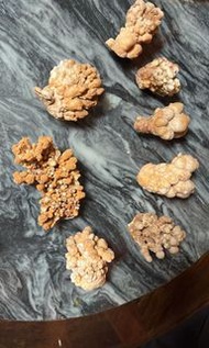 小型鐘乳石 無座