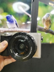sony a6000 + 16-50mm A6000 KIT  二手交換，高價收機，收鏡，歡迎查詢，trade in camera lens