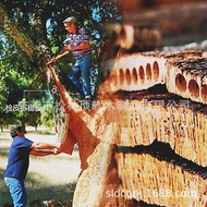 Supply Wholesale Portugal Dedicated School Floor Cork Assembly Ready Stock Adhesive Imported Floor K