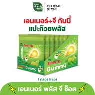 HandyHerb Ener+G Gummy เอนเนอร์ พลัส จี กัมมี่ ใบแป๊ะก๊วยพลัส กลิ่นองุ่นไชน์มัสเเคท 1 กล่อง (6 ซอง)