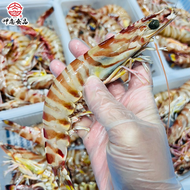 澎湖野生超大規格野生明蝦（600g（5~6隻