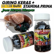 JAMU MERPATI KEKET GIRING 100 PIL super keras extra ginseng teki sarang walet kelenceng pil edan nut